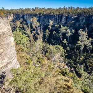 Starkvale Creek Campground