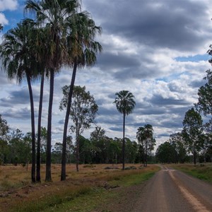 Starkvale Creek Campground