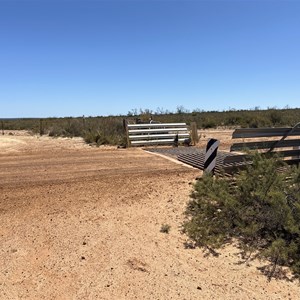 Rabbit Proof Fence - Frank Hann National Park