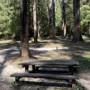Lake Elizabeth Campground (tents only)
