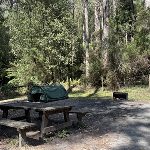 Lake Elizabeth Campground (tents only)
