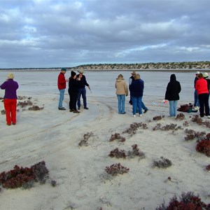 Goog's Lake Camp