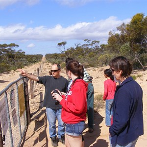 Dingo Fence Googs Track South