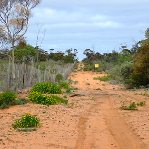 Dog Fence, Goog's Track (East)