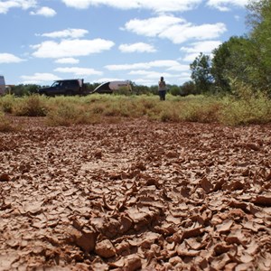 Tallaringa - April 2011