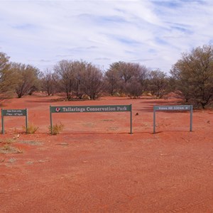 Anne Beadell Hwy, Dog Fence