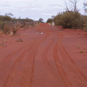 Anne Beadell Hwy, Dog Fence