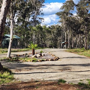 Gummi Falls Campground