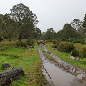 Little Murray Campground