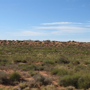 Sand dune country
