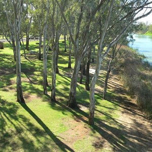 The park from the viewing tower, Darling R on RHS of photo