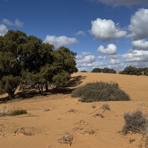 Perry Sandhills