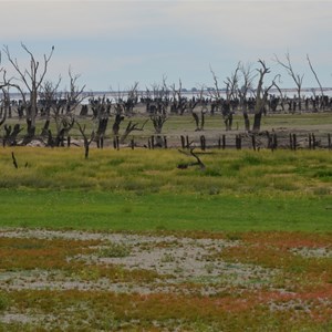 Rufus River & Lookout