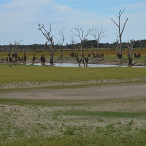 Rufus River & Lookout