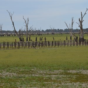 Rufus River & Lookout