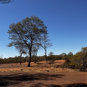 Camp Beadell
