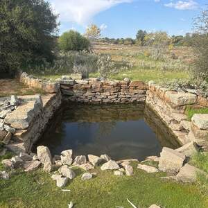 Trough Well (Tank)