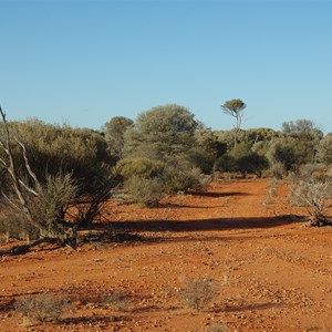 Plumridge Lakes Rd & Mallee Hen Rocks