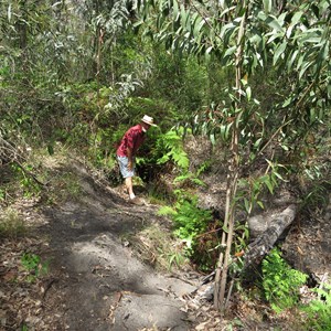 The springs source