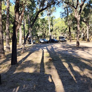 Nogoa River Campground