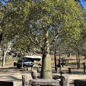 Nogoa River Campground