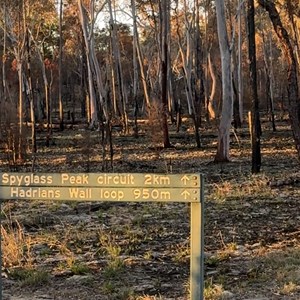 Spyglass Peak Trailhead Carpark