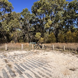 Belinda Spring