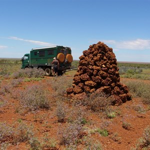 Notabilis Hill - November 2010