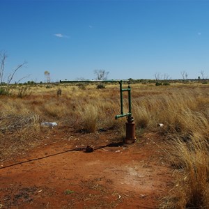 Thryptomene Hill Bore