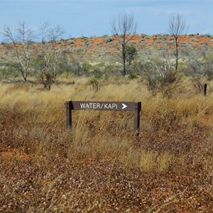 Thryptomene Hill Bore