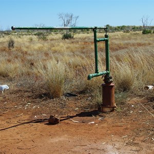 Thryptomene Hill Bore