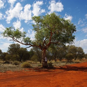 Len Beadell's Tree & Plaque