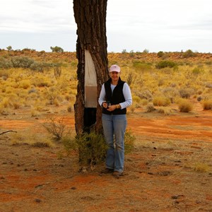Len Beadell Blaze Tree