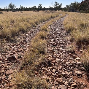 Bungabiddy Rockhole Camp