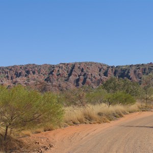 Bungles beehives