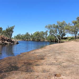 Black Falcon Camp