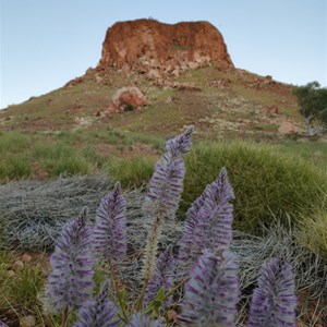 Darlsen Pinnacle