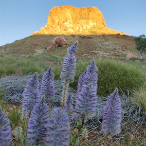 Darlsen Pinnacle