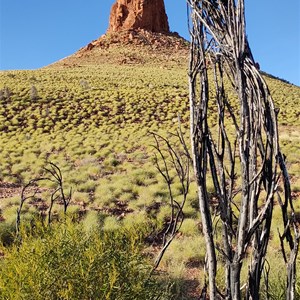 Darlsen Pinnacle