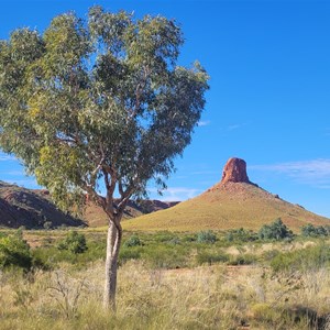 Darlsen Pinnacle