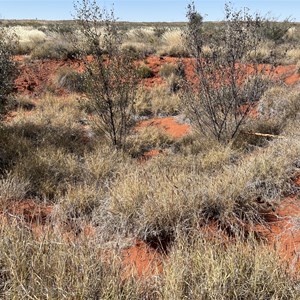 Bore and Tank (Wapet Rd/Kidson Track)