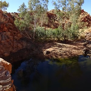 Turtle Pool with water - July 2018