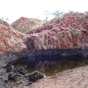 Turtle Pool with water - July 2018