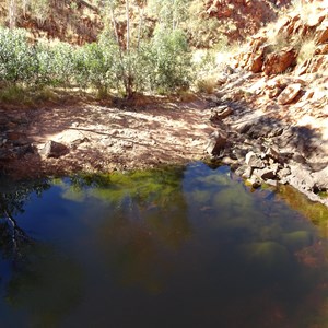 Turtle Pool with water - July 2018