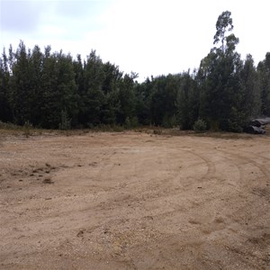 Camp Site near Norfolk Road