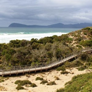 The board walk to beach and penguin rookery