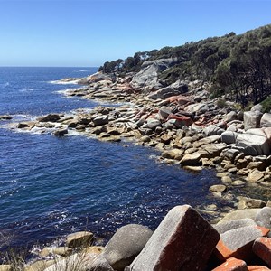 Bay of Fires Camp Area