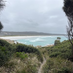 Sloop Lagoon Camp Area