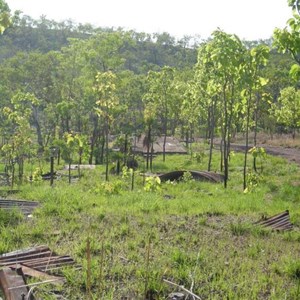 Camp Area