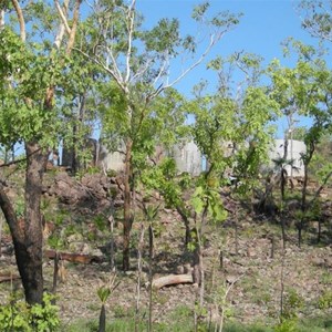 Water Tanks 